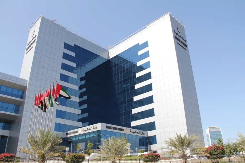 Common VAT Errors and How to Avoid Fines in UAE